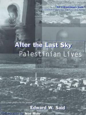 Cover art for After the Last Sky