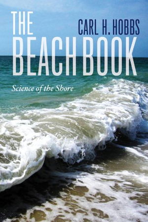 Cover art for Beach Book