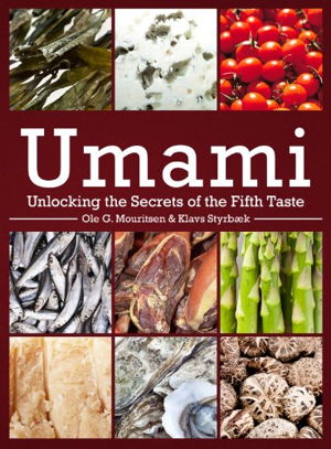 Cover art for Umami