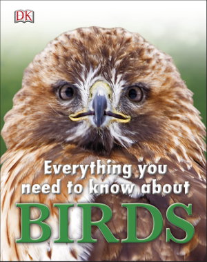 Cover art for Everything You Need to Know About Birds