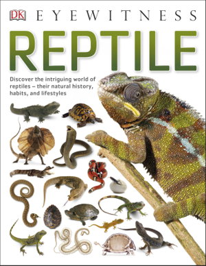 Cover art for DK Eyewitness Reptile