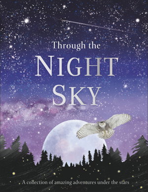 Cover art for Through the Night Sky