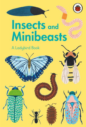 Cover art for Insects and Minibeasts
