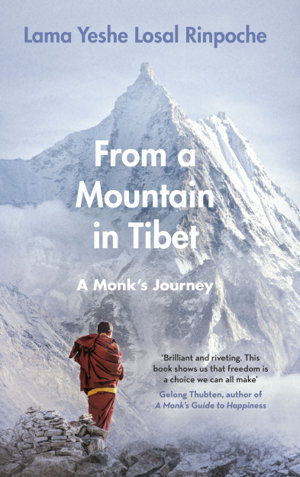 Cover art for From a Mountain In Tibet