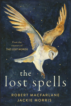 Cover art for The Lost Spells