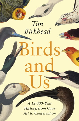 Cover art for Birds and Us