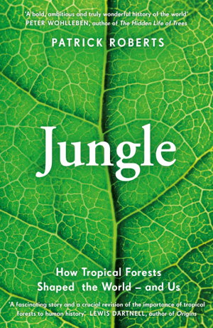 Cover art for Jungle