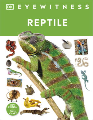 Cover art for Reptile