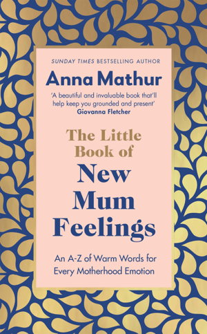 Cover art for The Little Book of New Mum Feelings