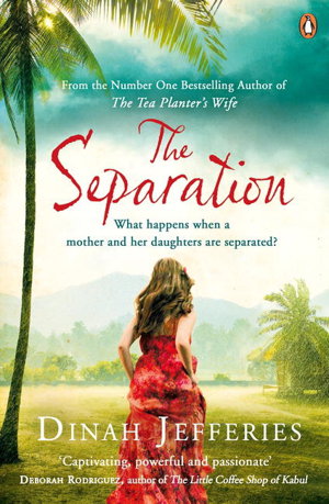 Cover art for The Separation