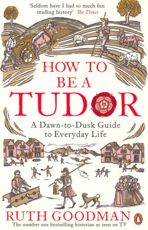 Cover art for How to be a Tudor