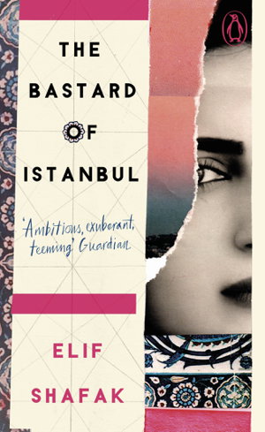 Cover art for The Bastard of Istanbul