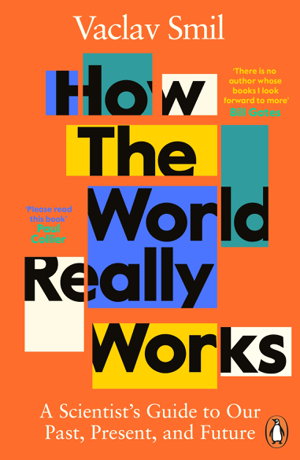 Cover art for How the World Really Works