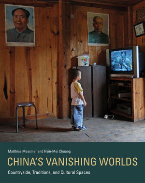 Cover art for China's Vanishing Worlds Countryside Traditions and Cultural Spaces