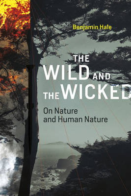 Cover art for The Wild and the Wicked