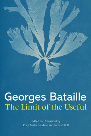 Cover art for Limit of the Useful