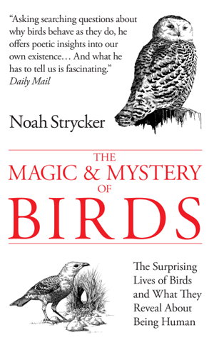 Cover art for Magic and Mystery of Birds The Surprising Lives of Birds and