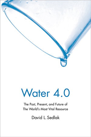 Cover art for Water 4.0 The Past Present and Future of the World's Most