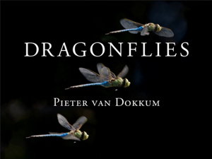 Cover art for Dragonflies