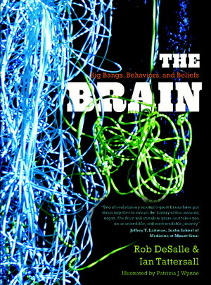 Cover art for Brain Big Bangs Behaviors and Beliefs