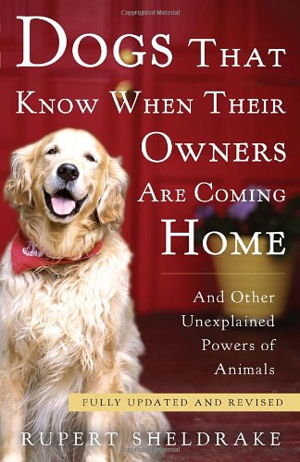 Cover art for Dogs That Know When Their Owners Are Coming Home
