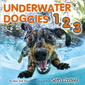 Cover art for Underwater Doggies 1 2 3