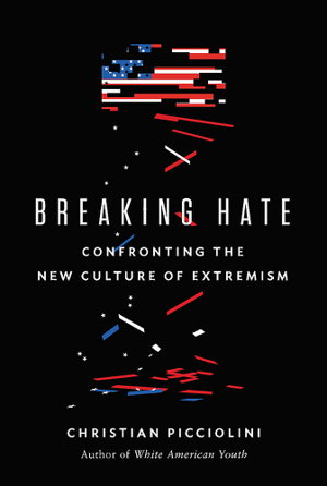 Cover art for Breaking Hate