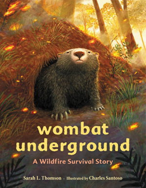 Cover art for Wombat Underground