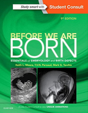 Cover art for Before We Are Born