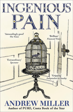 Cover art for Ingenious Pain
