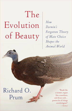 Cover art for Evolution of Beauty How Darwin's Forgotten Theory of Mate Choice Shapes the Animal World - and Us