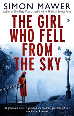 Cover art for The Girl Who Fell from the Sky