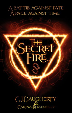 Cover art for The Secret Fire