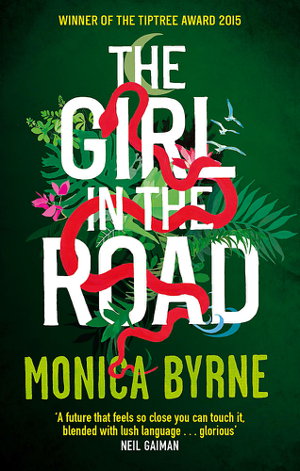 Cover art for The Girl in the Road