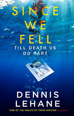 Cover art for Since We Fell