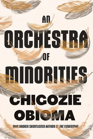 Cover art for An Orchestra of Minorities