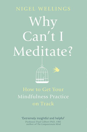 Cover art for Why Can't I Meditate?