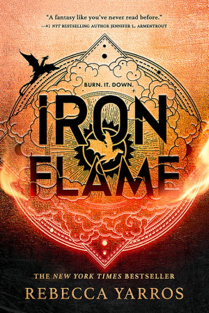 Cover art for Iron Flame