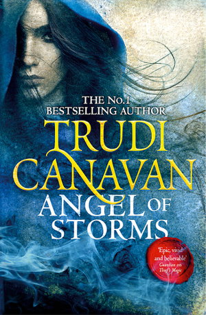 Cover art for Angel of Storms
