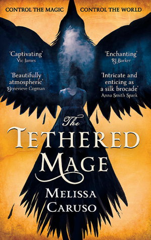 Cover art for Tethered Mage