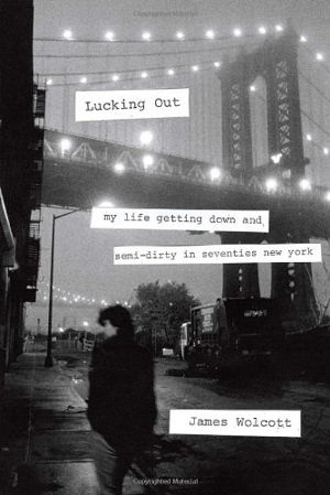 Cover art for Lucking Out