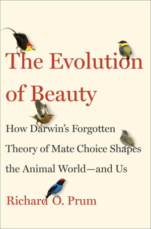 Cover art for The Evolution of Beauty