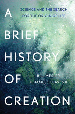 Cover art for A Brief History of Creation