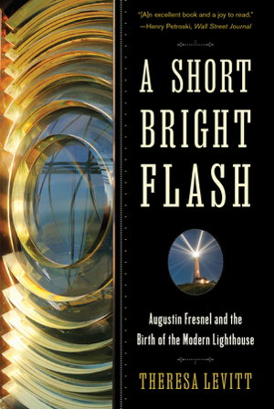 Cover art for A Short Bright Flash
