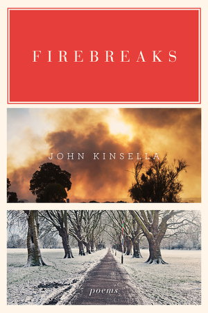 Cover art for Firebreaks