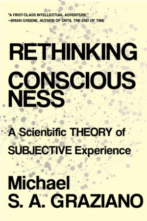 Cover art for Rethinking Consciousness
