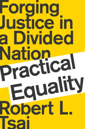Cover art for Practical Equality