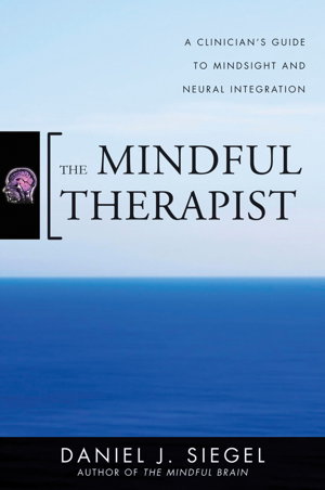 Cover art for The Mindful Therapist