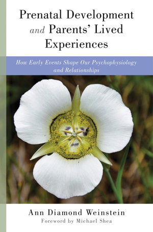 Cover art for Prenatal Development and Parents' Lived Experiences