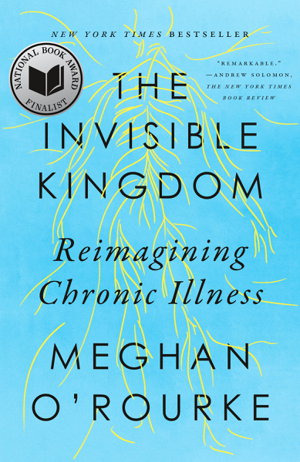 Cover art for The Invisible Kingdom